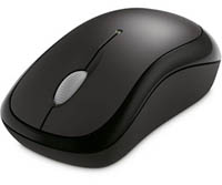Mouse